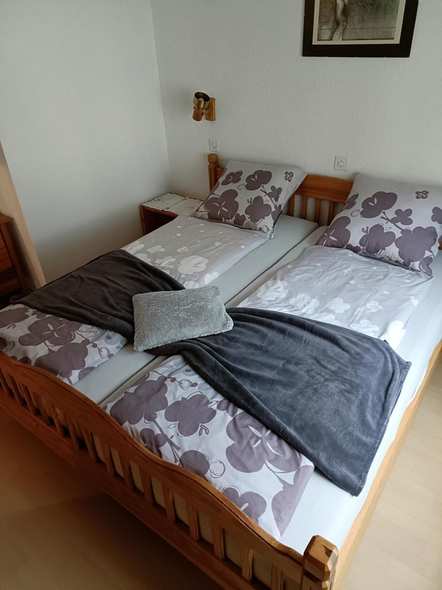 Kummublick Taesch, Naehe Zermatt Apartment Exterior photo